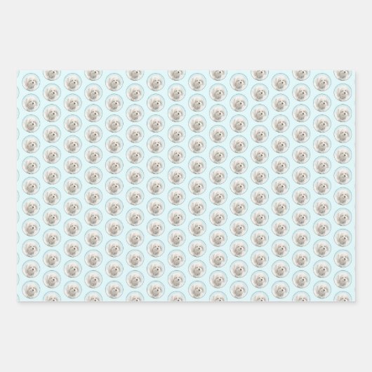 Coton de Tulear Painting - Niedliche Original Dog Geschenkpapier Set (Vorderseite)
