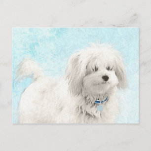Coton de Tulear Painting - Niedliche Original Dog  Postkarte