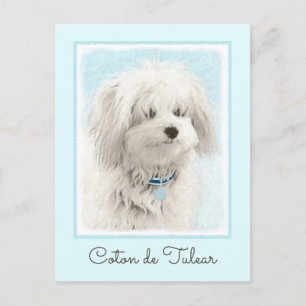 Coton de Tulear Painting - Niedliche Original Dog  Postkarte