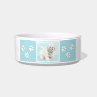 Coton de Tulear Painting - Niedliche Original Hund