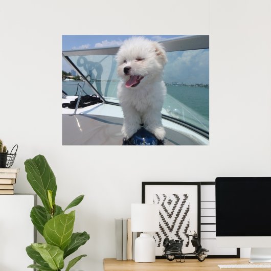 Coton De Tulear Poster (Heimbüro)