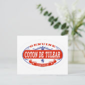 Coton De Tulear Postkarte (Stehend Vorderseite)