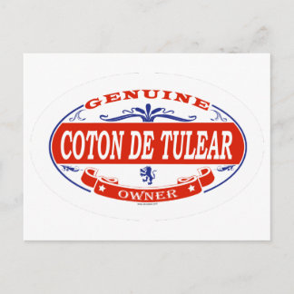 Coton De Tulear Postkarte