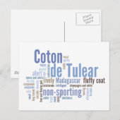 Coton de Tulear Postkarte (Vorne/Hinten)