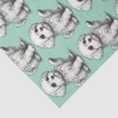 Coton de Tuléar Seidenpapier (Ausschnitt)