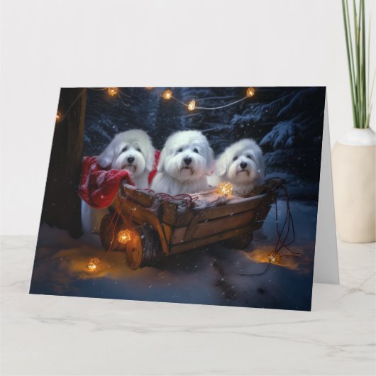 Coton De Tulear Snowy Sleigh Weihnachtsdekor Karte (Vorderseite)