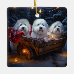 Coton De Tulear Snowy Sleigh Weihnachtsdekor Keramikornament