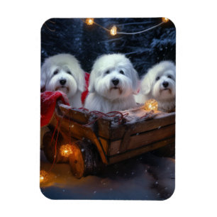 Coton De Tulear Snowy Sleigh Weihnachtsdekor Magnet