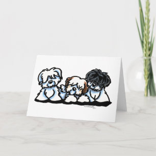 Coton De Tulear Trio Karte