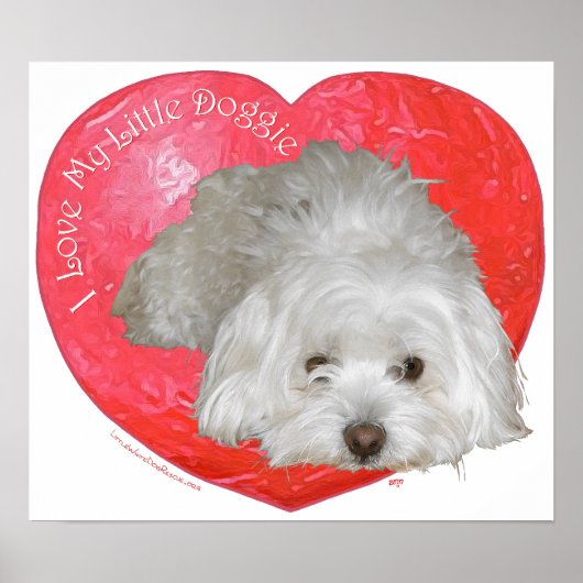 Coton de Tulear Valentinstag Poster (Vorne)