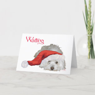 Coton de Tulear - Wartend Feiertagskarte