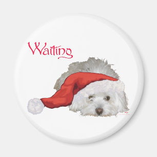 Coton de Tulear - Wartend Magnet