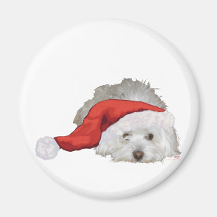 Coton de Tulear - Wartend Magnet