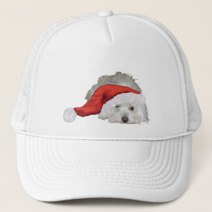 Coton de Tulear - Wartend Truckerkappe