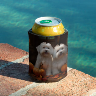 Coton De Tulear Welpe Herbstfreude Kürbis Dosenkühler