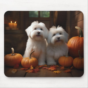 Coton De Tulear Welpe Herbstfreude Kürbis Mousepad