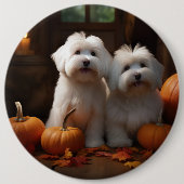Coton De Tulear Welppy Autumn Delight Pumpkin Button (Vorderseite)