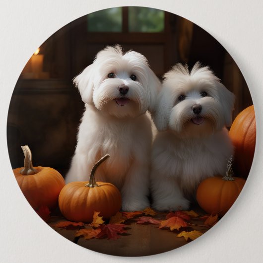 Coton De Tulear Welppy Autumn Delight Pumpkin Button (Vorderseite)