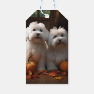Coton De Tulear Welppy Autumn Delight Pumpkin Geschenkanhänger