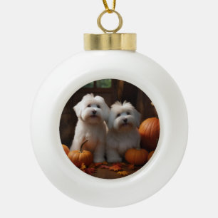 Coton De Tulear Welppy Autumn Delight Pumpkin Keramik Kugel-Ornament
