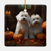 Coton De Tulear Welppy Autumn Delight Pumpkin Keramikornament (Rückseite)
