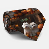 Coton De Tulear Welppy Autumn Delight Pumpkin Krawatte (Gerollt)