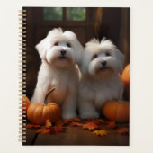 Coton De Tulear Welppy Autumn Delight Pumpkin Planer (Vorderseite)