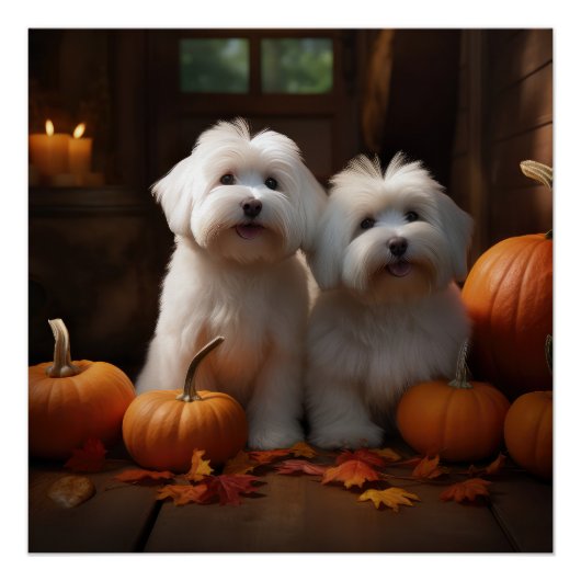 Coton De Tulear Welppy Autumn Delight Pumpkin Poster (Vorderseite)