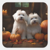 Coton De Tulear Welppy Autumn Delight Pumpkin Quadratischer Aufkleber (Vorderseite)