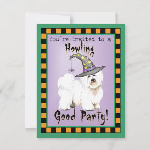 Coton Witch Einladung