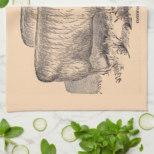 Cotswold ewes print aus dem 19. Jahrhundert Geschirrtuch (Gefaltet)
