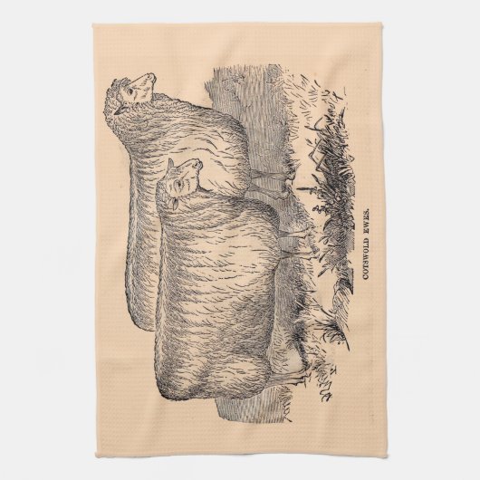 Cotswold ewes print aus dem 19. Jahrhundert Geschirrtuch (Vertikal)