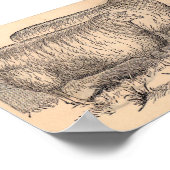 Cotswold ewes print aus dem 19. Jahrhundert Poster (Ecke)