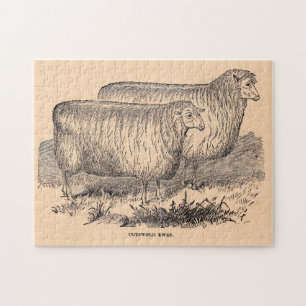 Cotswold ewes print aus dem 19. Jahrhundert Puzzle