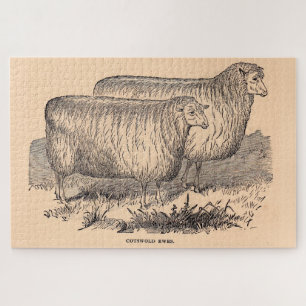 Cotswold ewes print aus dem 19. Jahrhundert Puzzle