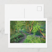 Cotswold Spring Wood Postkarte (Vorne/Hinten)