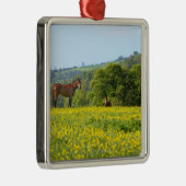 Cotswolds, Großbritannien Ornament Aus Metall (Rechts)