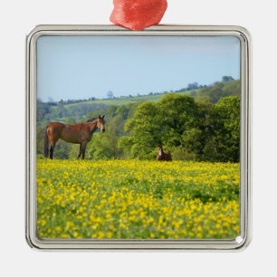 Cotswolds, Großbritannien Ornament Aus Metall