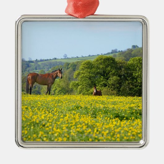 Cotswolds, Großbritannien Ornament Aus Metall (Vorne)