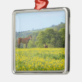 Cotswolds, Großbritannien Ornament Aus Metall (Links)