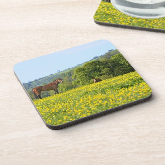 Cotswolds, Großbritannien Untersetzer (Linke Seite)