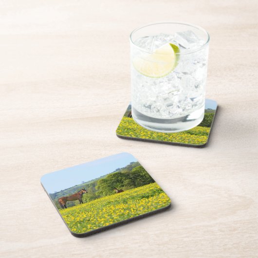 Cotswolds, Großbritannien Untersetzer (Rechte Seite)