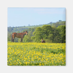 Cotswolds, UK Magnet