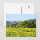 Cotswolds, UK Postkarte (Vorne/Hinten)