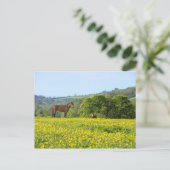 Cotswolds, UK Postkarte (Stehend Vorderseite)