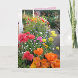 Cottage Garden Smile Pink Rannunculus Blumenkarte Karte