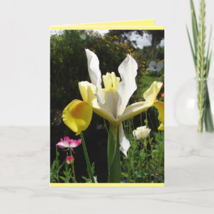 Cottage-Garten-Gelber Schwertlilien-Iris Blumenkar Karte