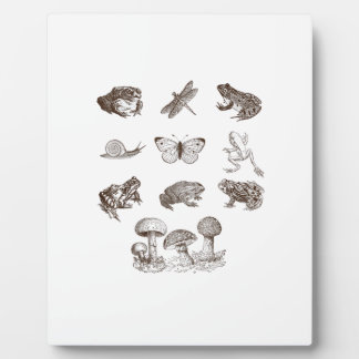 Cottagecore Aesthetic Mushroom Academia Frog Gobli Fotoplatte