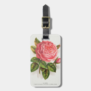 Cottagecore Antike Pink-Rose Blumenillustration Gepäckanhänger