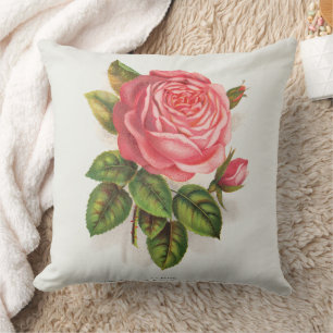 Cottagecore Antike Pink-Rose Blumenillustration Kissen